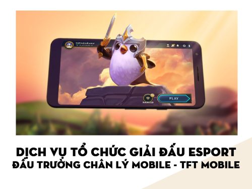 Dịch vụ Tổ chức Giải đấu Esport | TFT MOBILE