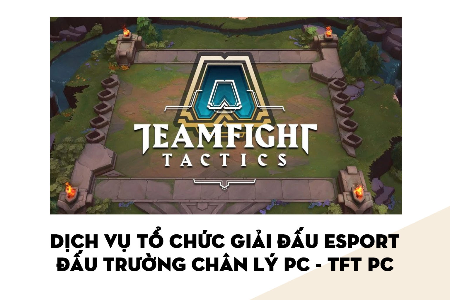 Dịch vụ Tổ chức Giải đấu Esports | Đấu Trường Chân Lý PC