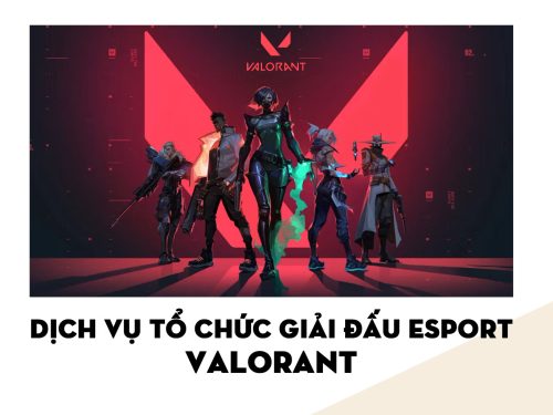 Dịch vụ Tổ chức Giải đấu Esports | VALORANT